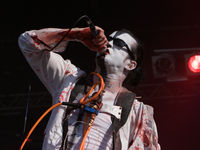 Skinny Puppy