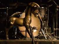 IAMX